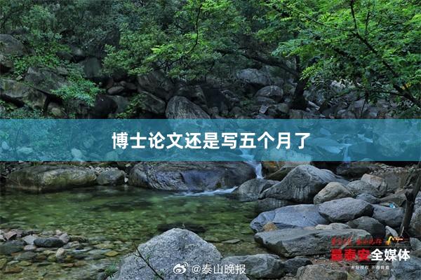博士论文还是写五个月了