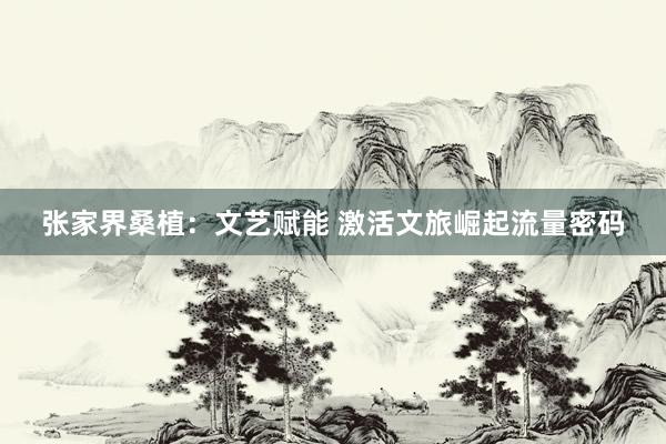 张家界桑植：文艺赋能 激活文旅崛起流量密码