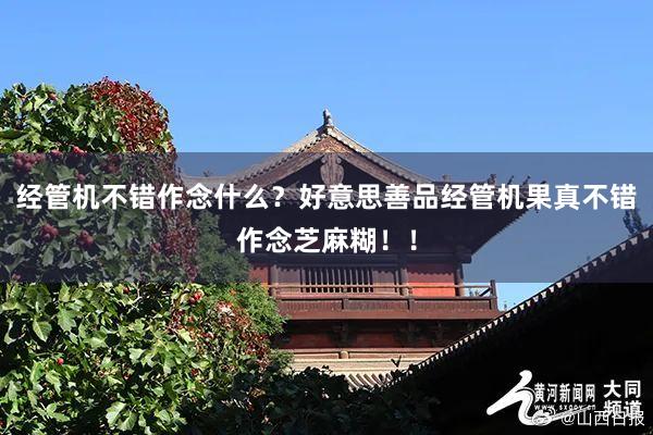 经管机不错作念什么？好意思善品经管机果真不错作念芝麻糊！！