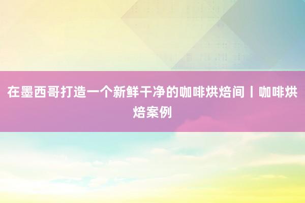 在墨西哥打造一个新鲜干净的咖啡烘焙间丨咖啡烘焙案例