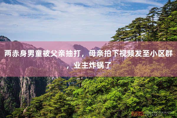 两赤身男童被父亲抽打，母亲拍下视频发至小区群，业主炸锅了