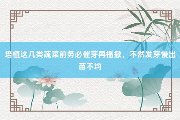 培植这几类蔬菜前务必催芽再播撒，不然发芽慢出苗不均