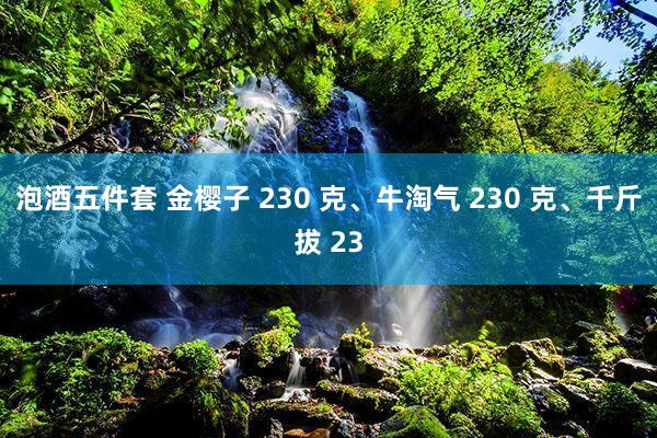 泡酒五件套 金樱子 230 克、牛淘气 230 克、千斤拔 23
