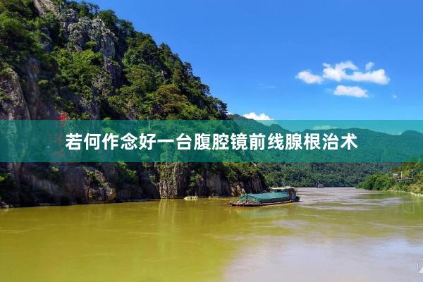 若何作念好一台腹腔镜前线腺根治术