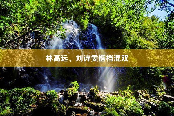林高远、刘诗雯搭档混双