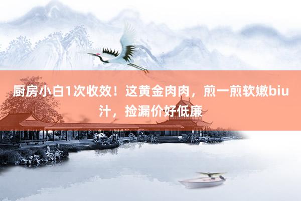 厨房小白1次收效！这黄金肉肉，煎一煎软嫩biu汁，捡漏价好低廉