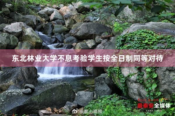 东北林业大学不息考验学生按全日制同等对待