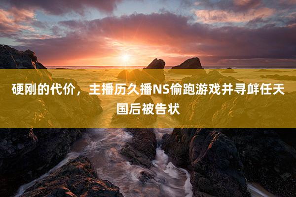 硬刚的代价，主播历久播NS偷跑游戏并寻衅任天国后被告状