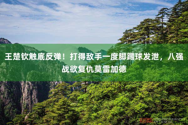 王楚钦触底反弹！打得敌手一度脚踢球发泄，八强战欲复仇莫雷加德
