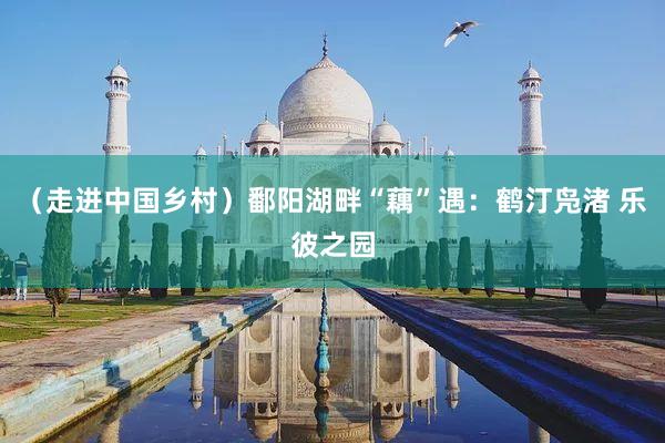 （走进中国乡村）鄱阳湖畔“藕”遇：鹤汀凫渚 乐彼之园