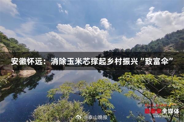 安徽怀远：消除玉米芯撑起乡村振兴“致富伞”