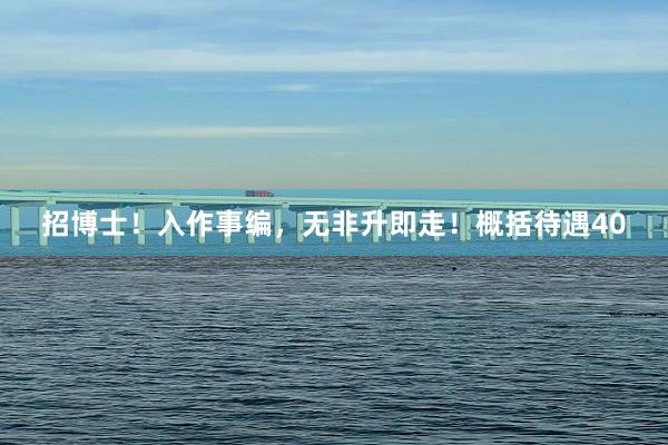 招博士！入作事编，无非升即走！概括待遇40