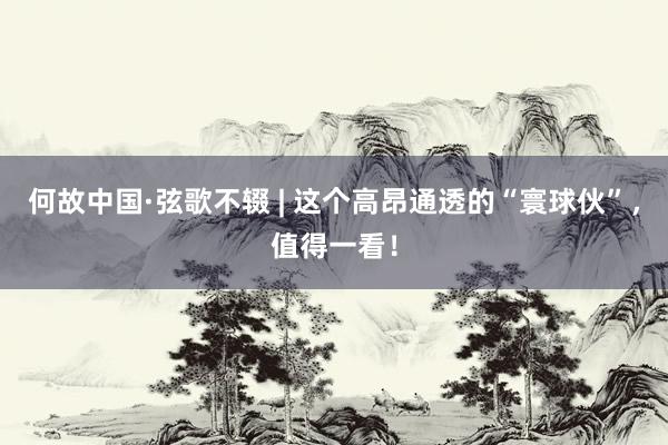 何故中国·弦歌不辍 | 这个高昂通透的“寰球伙”，值得一看！