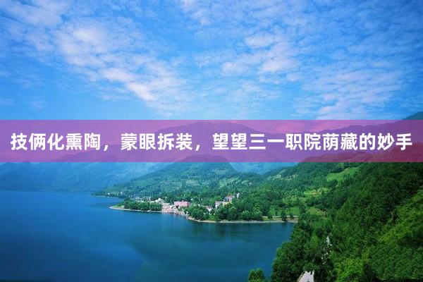 技俩化熏陶，蒙眼拆装，望望三一职院荫藏的妙手
